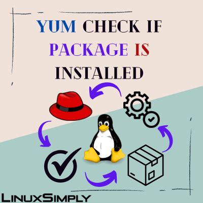 how to check if package is installed